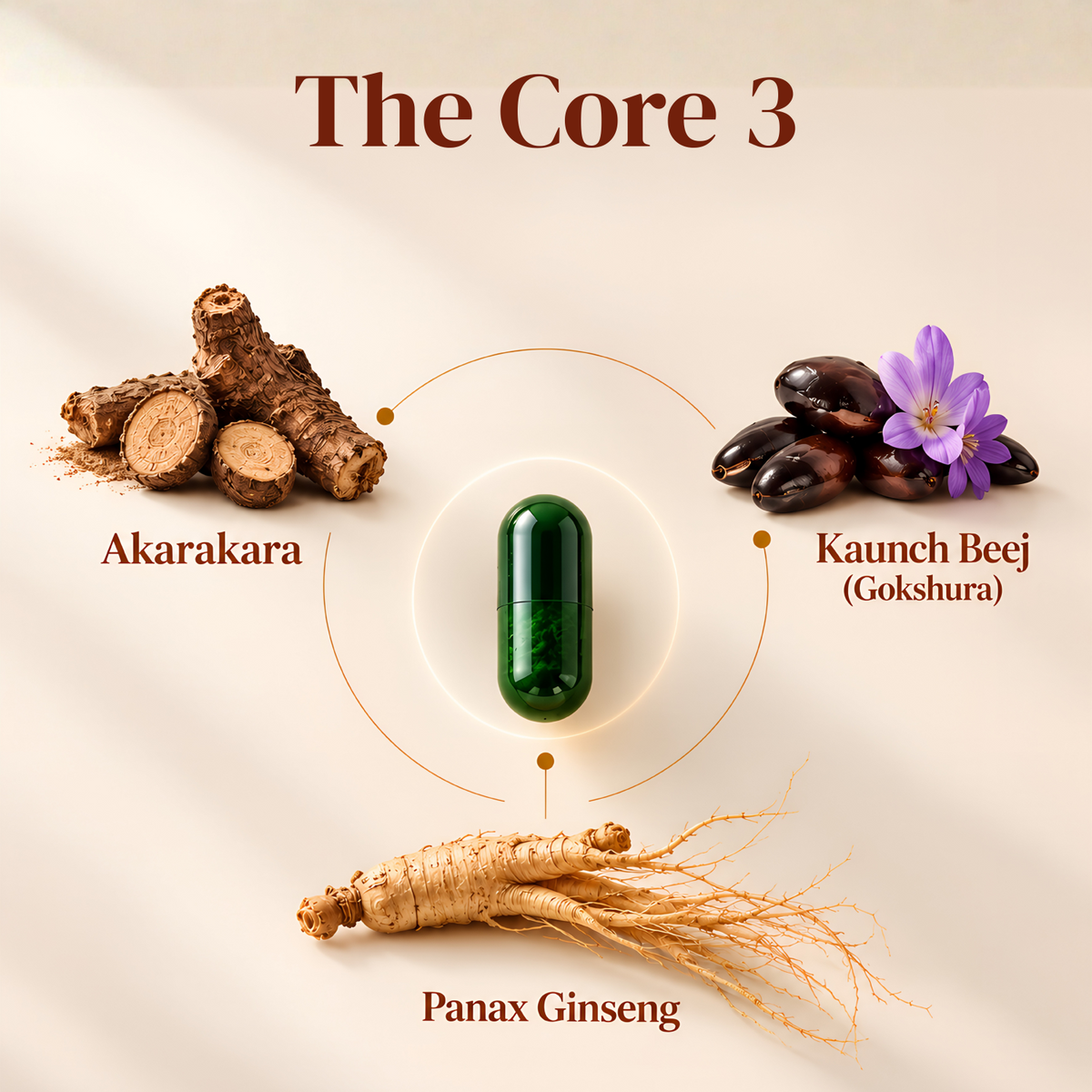 Vitality Power Plus