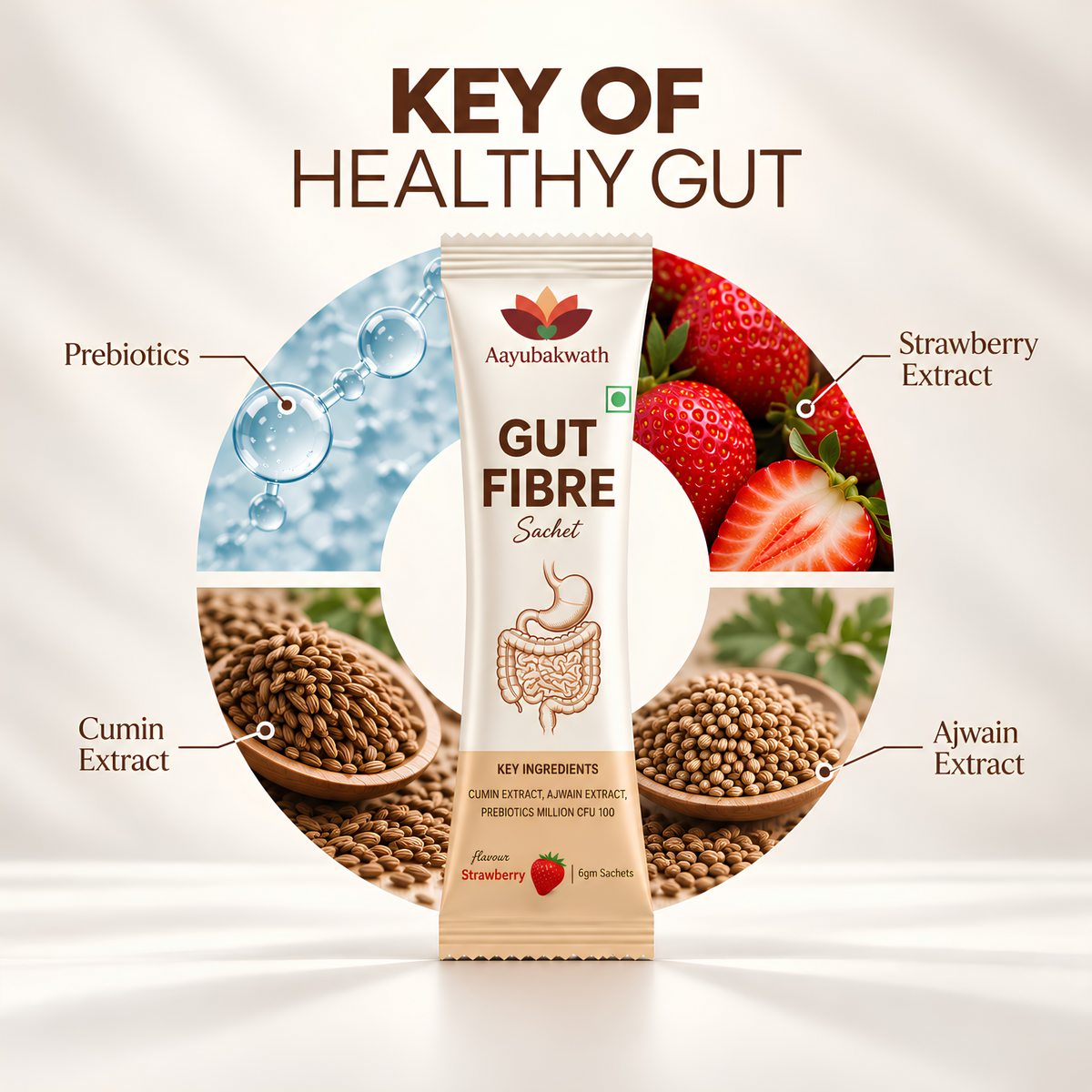 Gut Fibre