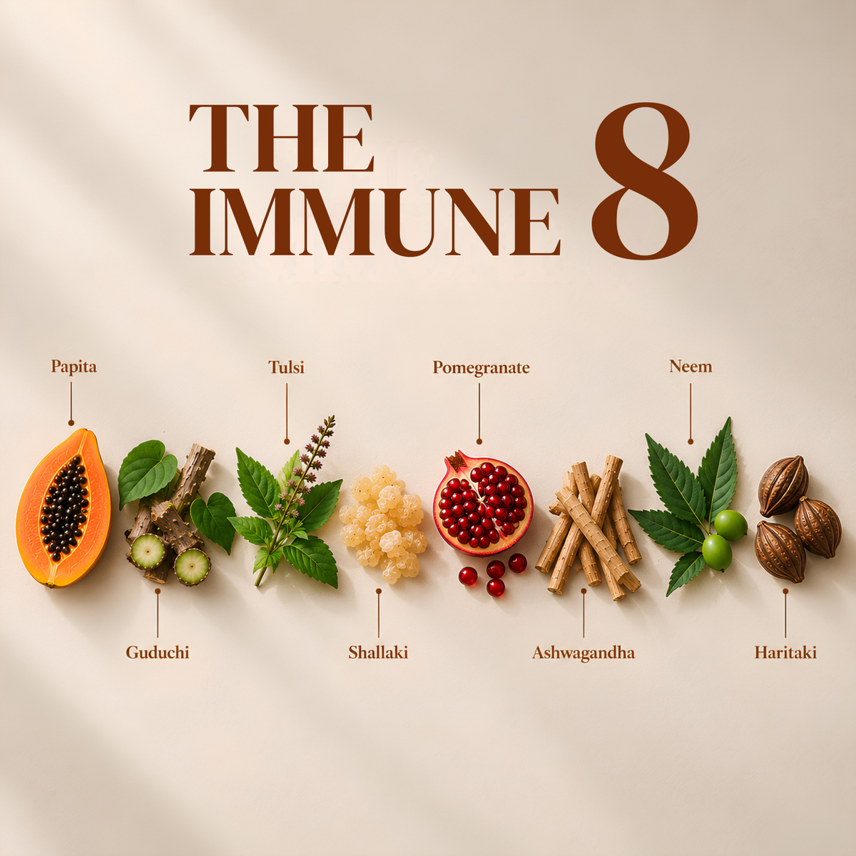 Immune Plus