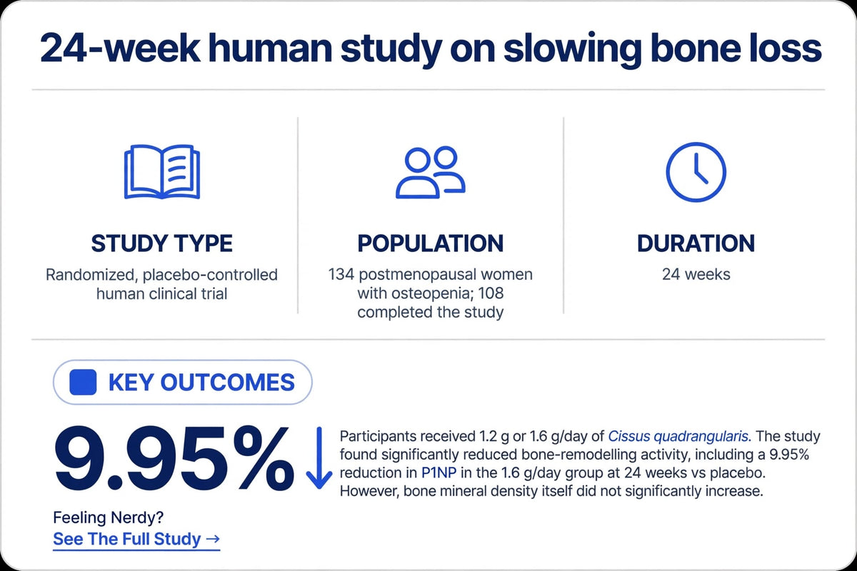 Bone Strength