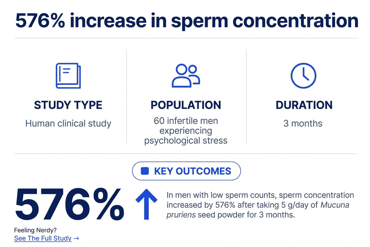 Male Vitality